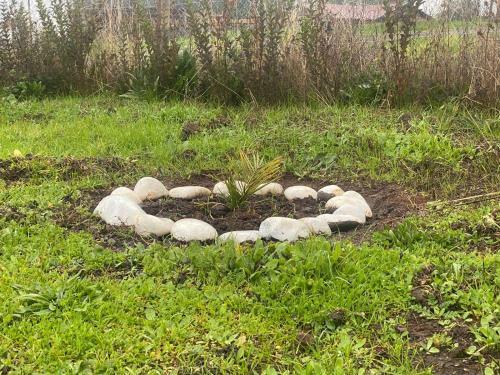 Caba�a Con Piscina Y Tinaja.
