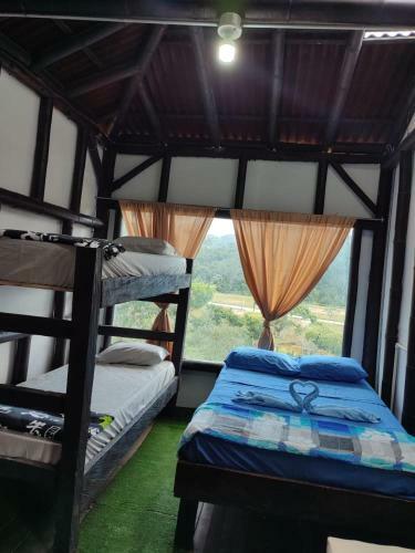Colors Fantasy Hostel