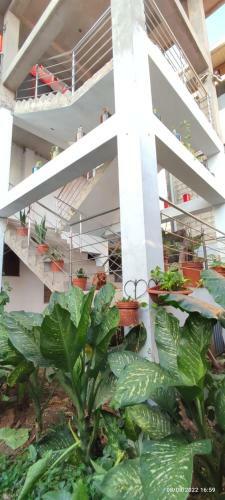 Casa Familiar El Payol