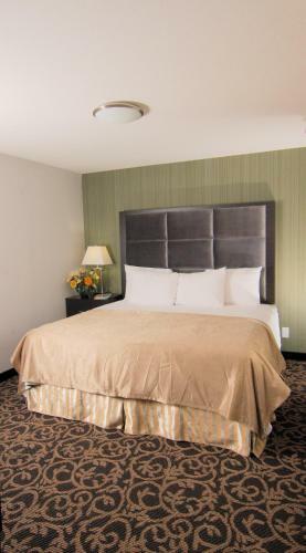 Hotel Paradise Inn And Suites