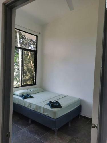 Apartamentos Guanafreetamarindo Guanacaste 2