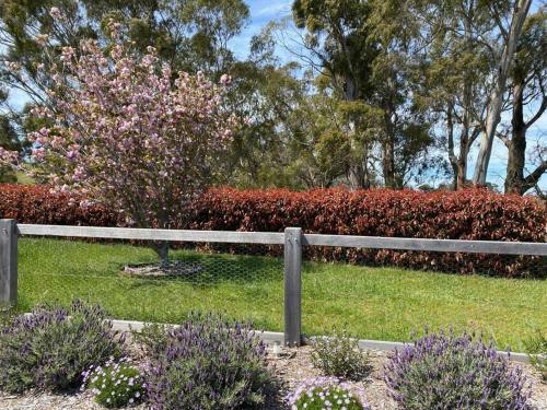 Somerton Park: Idyllic Escape In The Highlands