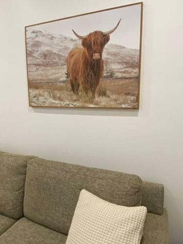 Somerton Barn: Alpacas, Cattle & Amazing Views