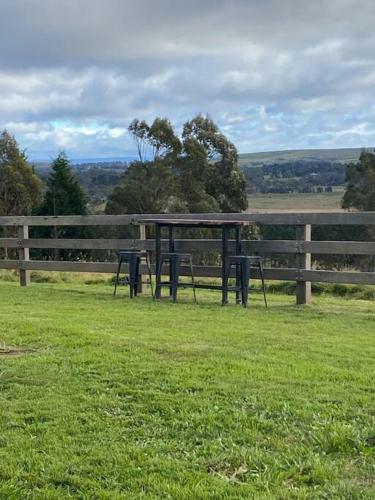 Somerton Barn: Alpacas, Cattle & Amazing Views