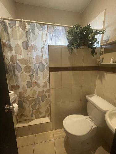 Casa 3 Rec�maras Y Dos Ba�os