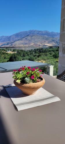 Splendid Villas And Family Resort