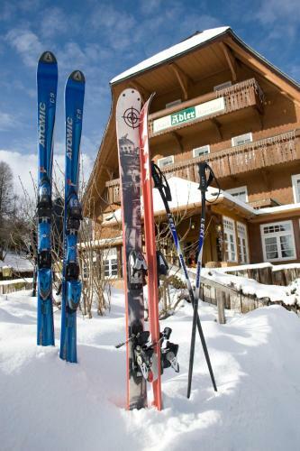 Hostal Hotel Adler B�rental