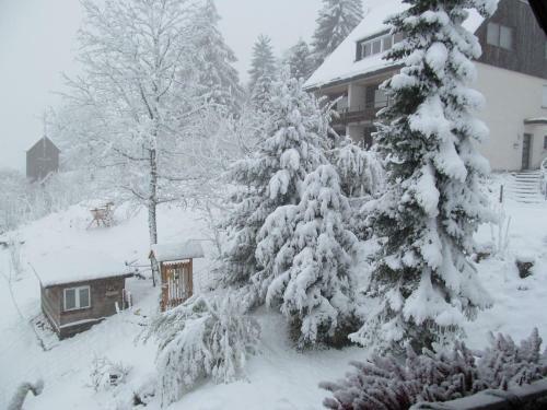Apartamento Berghaus Feldberg-b�rental