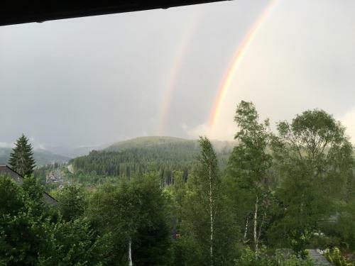 Apartamento Berghaus Feldberg-b�rental