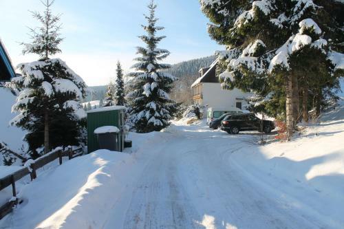Apartamento Berghaus Feldberg-b�rental