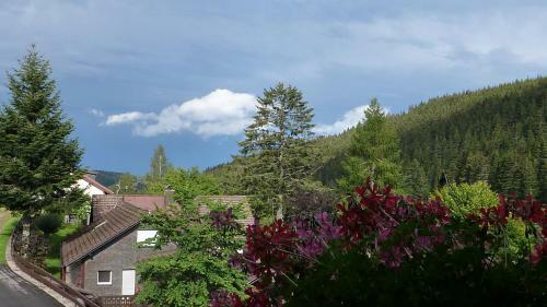 Hostal Hotel-pension Kr�utle