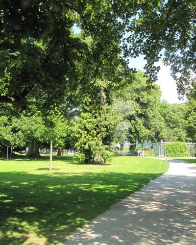 Hostal Gasthof Gr�ner Baum