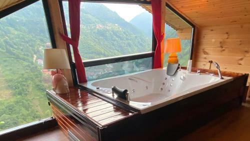 Bed & Breakfast Teras Bungalov