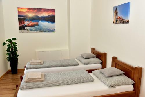 Hostal Penzi�n O?o