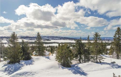 Three-bedroom Holiday Home In Sjusjoen