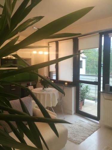 Apartament W Ogrodach Paulinum