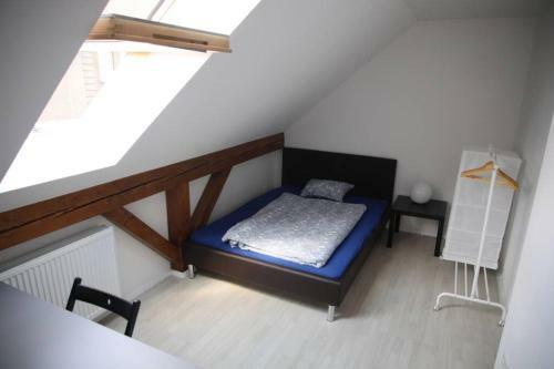 Spacious Luxury Apartment In The City Centre