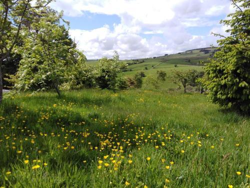Peaceful Hideaway At Pen Y Banc Smallholding