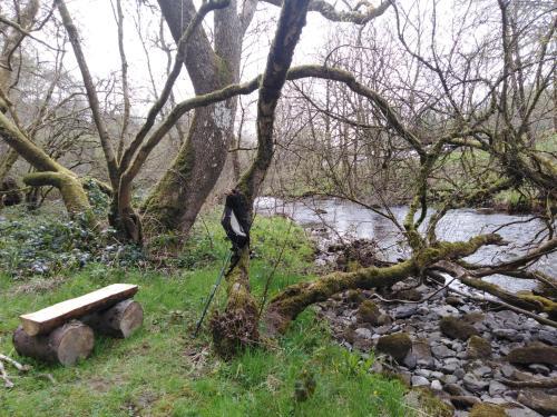 Peaceful Hideaway At Pen Y Banc Smallholding