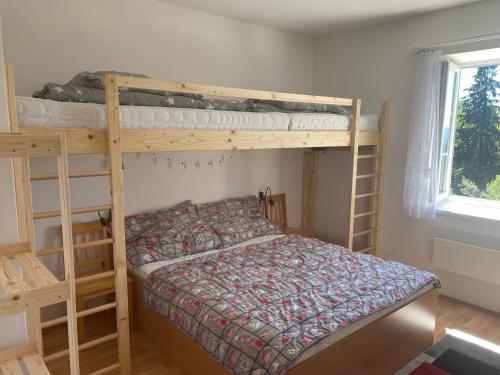 Apartm�n Meluz�na