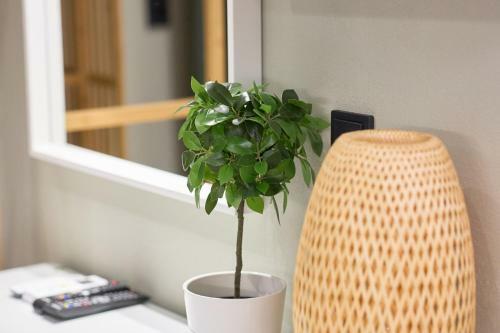 Apartamento Oisymi Luxury Studios