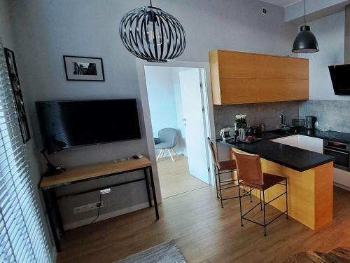 Loft Apartment " Amadeus " Tymienieckiego