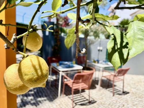 Hostal Charm Of The Algarve