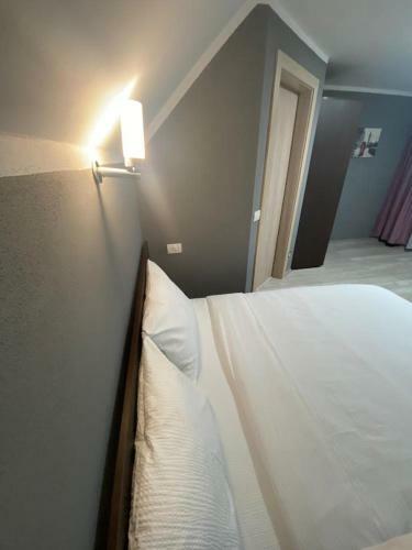 Hostal La Izvoare Pensiune-p?str?v?rie