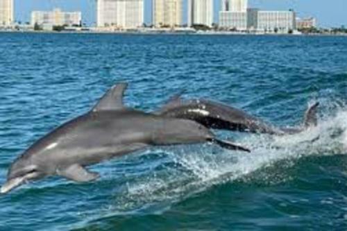 Cheerful 3 Bedroom Home Mins From Clearwater Beach