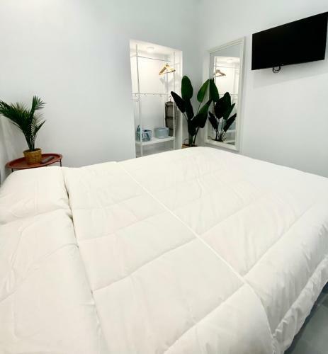Nuevo Apartamento Isasa 3