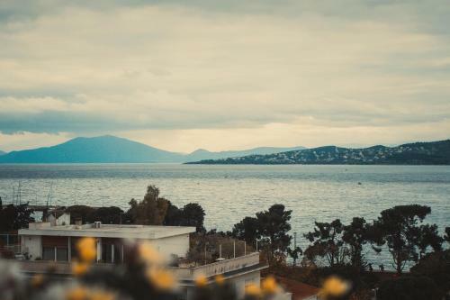 Sea View Luxury Apartment
