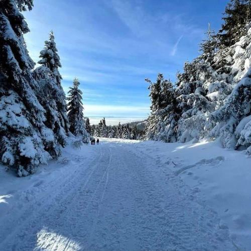 Go?ciniec Dziubasowki