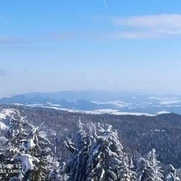 Go?ciniec Dziubasowki