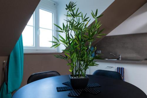 Apartamento Au Coucher De Soleil - Dormir Comme � La Maison -