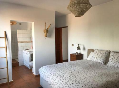 Beautiful Villa With Private Pool In Lajares