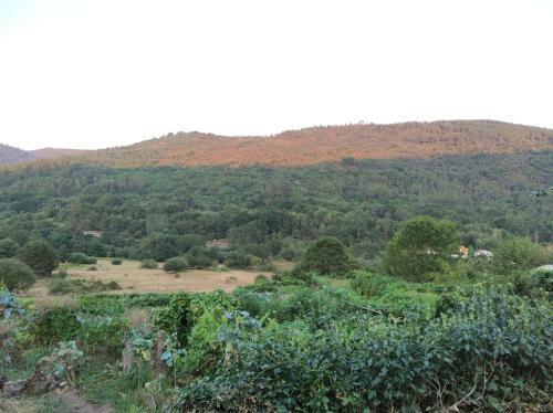 Apartamento Casa Do Vale - Casa Termal - Ger�s/xures