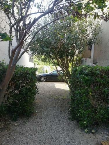 G�te Des Tamarins � Saint-pierre La Mer