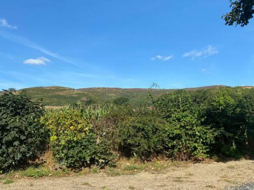 Vale View Glamping