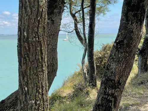 Apartamento Appt Fouras Centre Ville 50m De La Mer