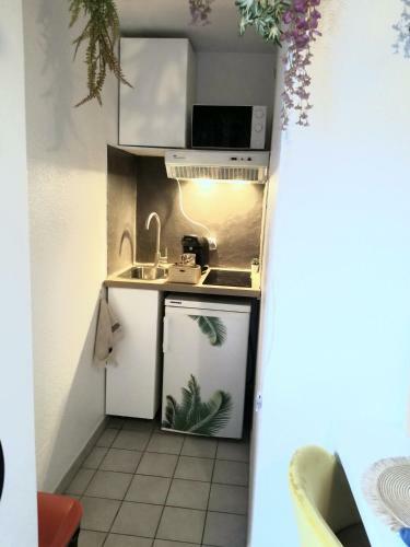 Apartamento Jungle Studio Proche De La Gare - Bloomy Appart