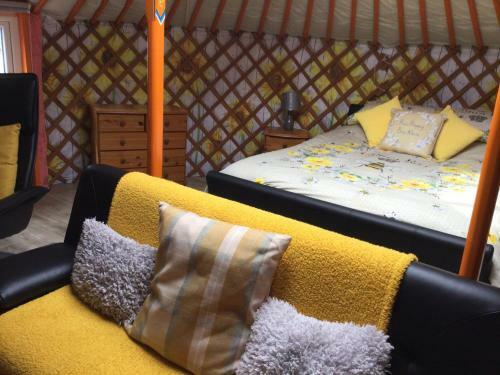 Colourful Mongolian Yurt Enjoy A New Experience