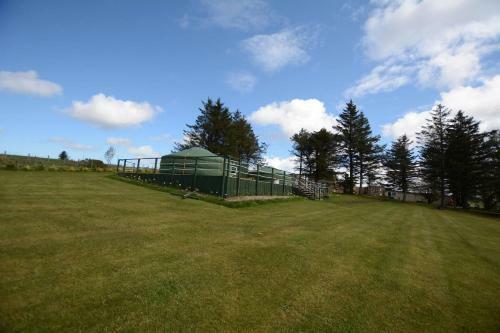 Colourful Mongolian Yurt Enjoy A New Experience