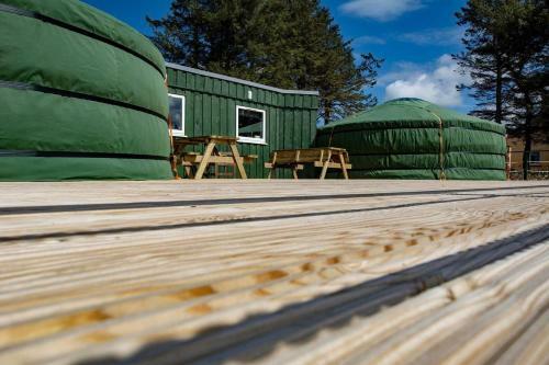 Colourful Mongolian Yurt Enjoy A New Experience