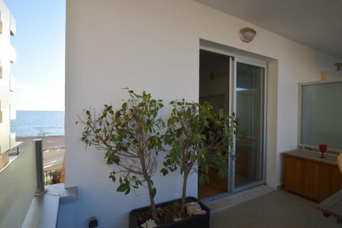 Coqueto Apartamento A Pocos Metros De La Playa