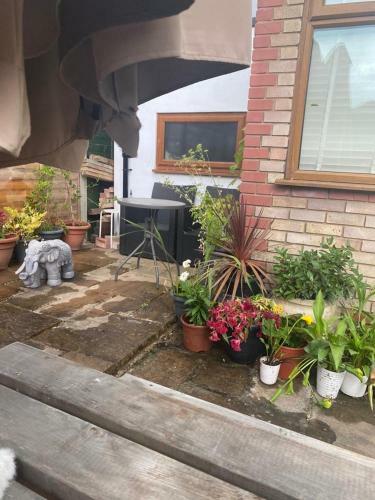 Lucia?s Garden House