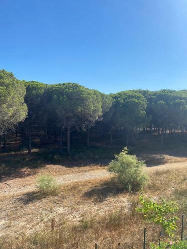 Apartamento Studio Cabine Mer Et Pin�de : 4pers, Neuf, Cosy