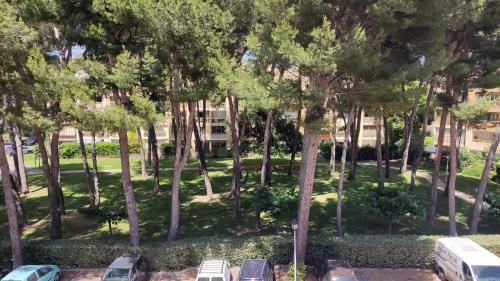 Apartamento Superbe Appartement, Proche Plage Des Sablettes