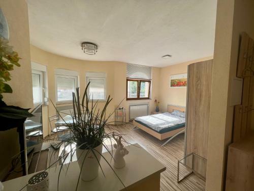 1 Raumwohnung F�r 2 G�ste