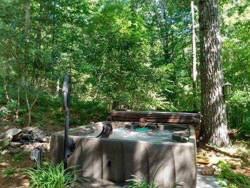 Hot Tub Mountain House
