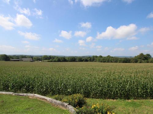 G�te Espoey, 3 Pi�ces, 4 Personnes - Fr-1-384-816